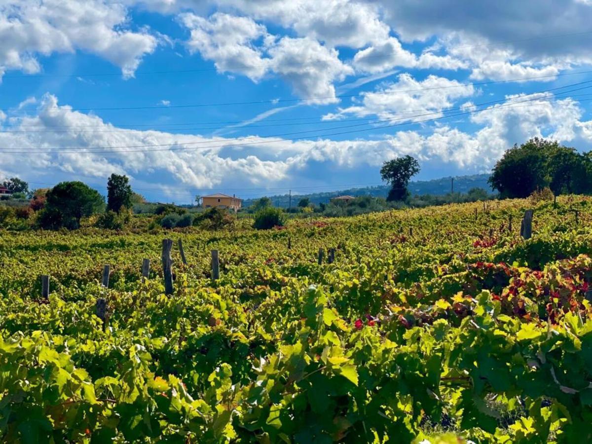 Agriturismo Le Masciare Paternopoli Eksteriør billede